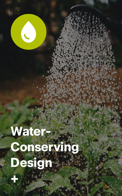 Water-Conserving Design